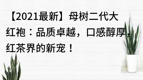 【2021最新】母樹二代大紅袍：品質卓越，口感醇厚，紅茶界的新寵！
