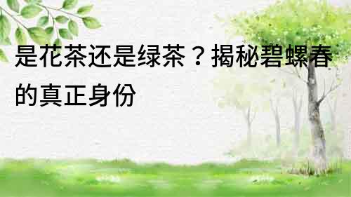 是花茶還是綠茶？揭秘碧螺春的真正身份