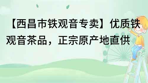 【西昌市鐵觀音專賣】優質鐵觀音茶品，正宗原產地直供