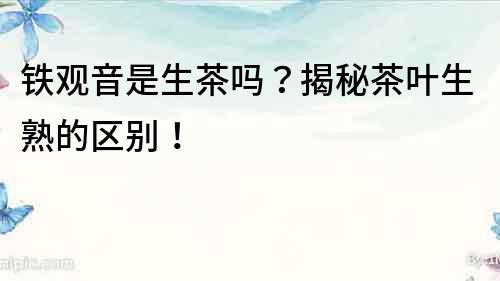 鐵觀音是生茶嗎？揭秘茶葉生熟的區別！