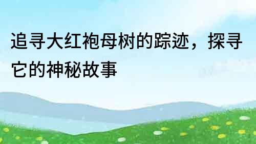 追尋大紅袍母樹的蹤跡，探尋它的神秘故事