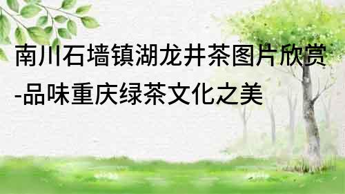 南川石墻鎮湖龍井茶圖片欣賞-品味重慶綠茶文化之美