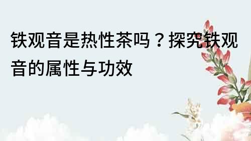 鐵觀音是熱性茶嗎？探究鐵觀音的屬性與功效