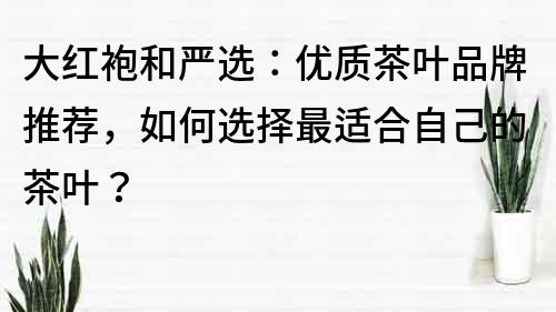 大紅袍和嚴(yán)選：優(yōu)質(zhì)茶葉品牌推薦，如何選擇最適合自己的茶葉？
