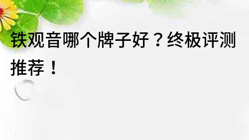 鐵觀音哪個(gè)牌子好？終極評(píng)測(cè)推薦！