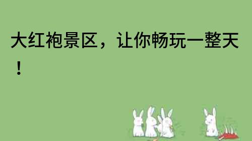 大紅袍景區，讓你暢玩一整天！