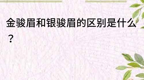 金駿眉和銀駿眉的區(qū)別是什么？