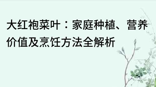 大紅袍菜葉：家庭種植、營養價值及烹飪方法全解析