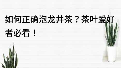 如何正確泡龍井茶？茶葉愛好者必看！