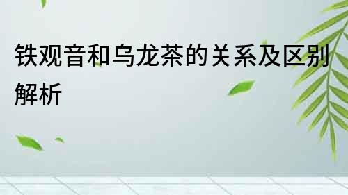 鐵觀音和烏龍茶的關(guān)系及區(qū)別解析