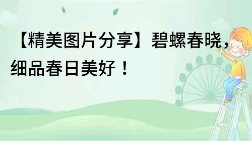 【精美圖片分享】碧螺春曉，細品春日美好！