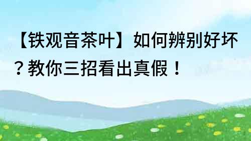 【鐵觀音茶葉】如何辨別好壞？教你三招看出真假！