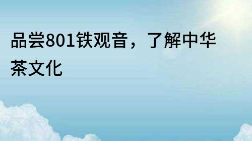 品嘗801鐵觀音，了解中華茶文化