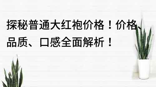 探秘普通大紅袍價(jià)格！價(jià)格、品質(zhì)、口感全面解析！
