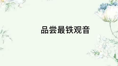 品嘗最鐵觀音