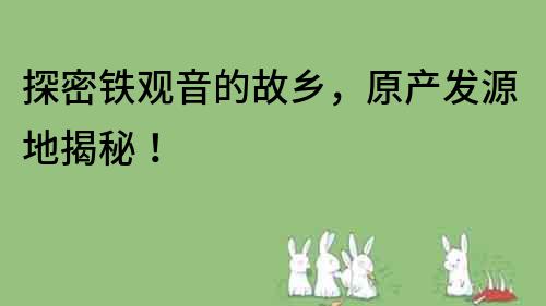 探密鐵觀音的故鄉，原產發源地揭秘！