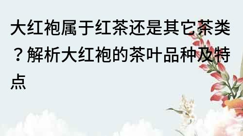 大紅袍屬于紅茶還是其它茶類？解析大紅袍的茶葉品種及特點(diǎn)