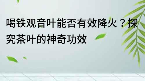 喝鐵觀音葉能否有效降火？探究茶葉的神奇功效