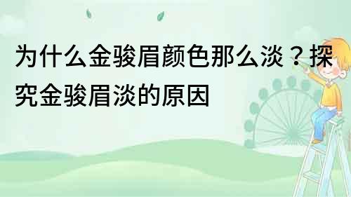 為什么金駿眉顏色那么淡？探究金駿眉淡的原因