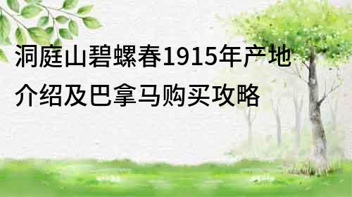 洞庭山碧螺春1915年產地介紹及巴拿馬購買攻略