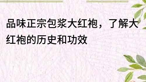 品味正宗包漿大紅袍，了解大紅袍的歷史和功效