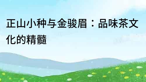 正山小種與金駿眉：品味茶文化的精髓