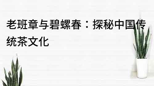 老班章與碧螺春：探秘中國傳統茶文化