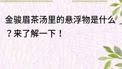 金駿眉茶湯里的懸浮物是什么？來了解一下！
