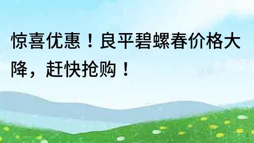 驚喜優惠！良平碧螺春價格大降，趕快搶購！