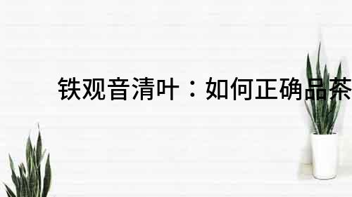 鐵觀音清葉：如何正確品茶？