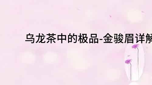 烏龍茶中的極品-金駿眉詳解