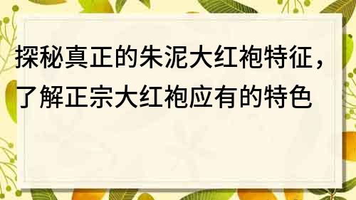 探秘真正的朱泥大紅袍特征，了解正宗大紅袍應有的特色