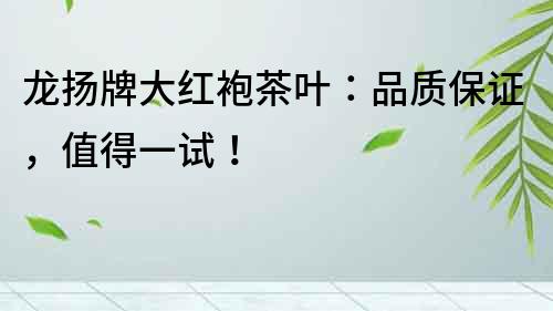 龍揚牌大紅袍茶葉：品質保證，值得一試！