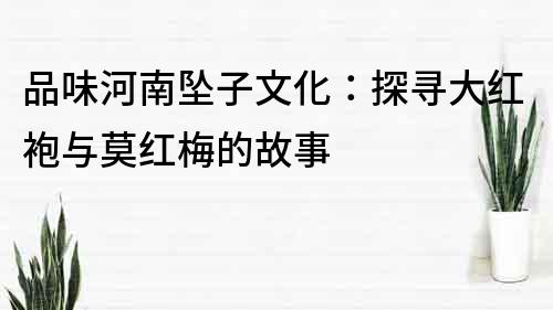 品味河南墜子文化：探尋大紅袍與莫紅梅的故事