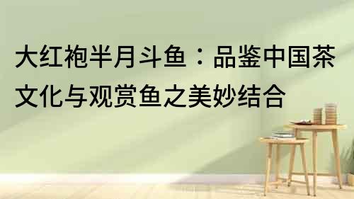 大紅袍半月斗魚：品鑒中國茶文化與觀賞魚之美妙結合