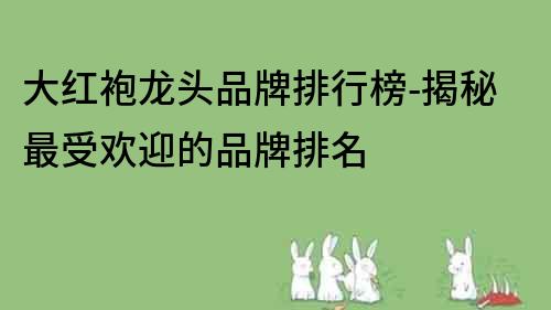 大紅袍龍頭品牌排行榜-揭秘最受歡迎的品牌排名