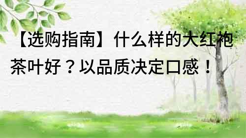 【選購指南】什么樣的大紅袍茶葉好？以品質決定口感！