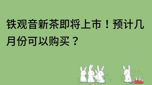 鐵觀音新茶即將上市！預計幾月份可以購買？