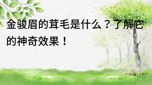 金駿眉的茸毛是什么？了解它的神奇效果！