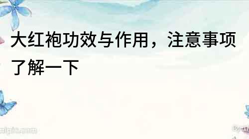 大紅袍功效與作用，注意事項(xiàng)了解一下