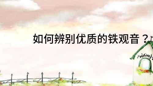 如何辨別優質的鐵觀音？
