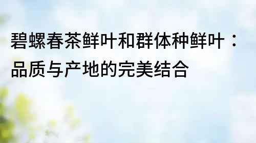 碧螺春茶鮮葉和群體種鮮葉：品質與產地的完美結合