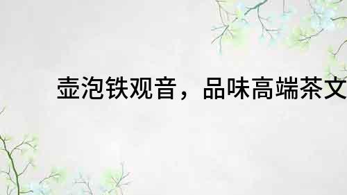 壺泡鐵觀音，品味高端茶文化