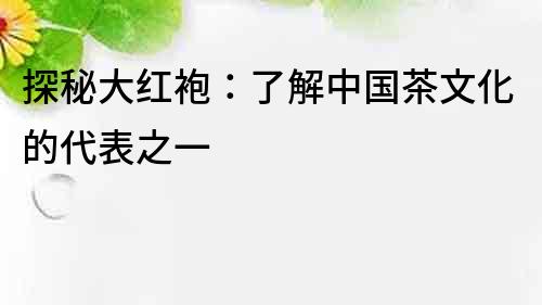 探秘大紅袍：了解中國茶文化的代表之一