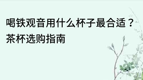 喝鐵觀音用什么杯子最合適？茶杯選購指南