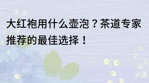 大紅袍用什么壺泡？茶道專家推薦的最佳選擇！