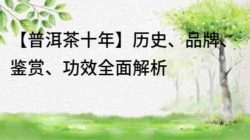 【普洱茶十年】歷史、品牌、鑒賞、功效全面解析