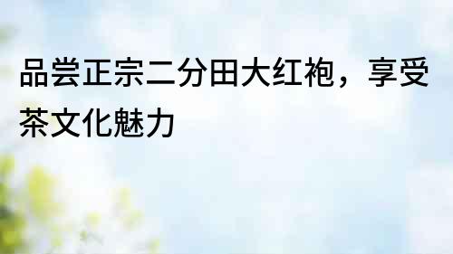品嘗正宗二分田大紅袍，享受茶文化魅力