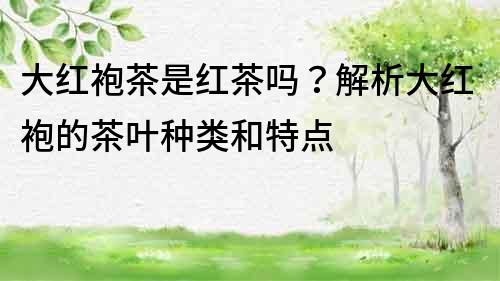 大紅袍茶是紅茶嗎？解析大紅袍的茶葉種類和特點