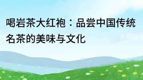 喝巖茶大紅袍：品嘗中國傳統(tǒng)名茶的美味與文化